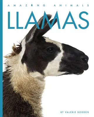 Lamas - Llamas