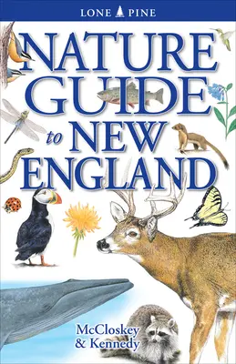 Naturführer für Neuengland - Nature Guide to New England