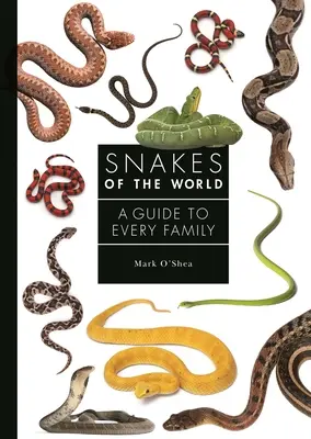 Schlangen der Welt: Ein Leitfaden für die ganze Familie - Snakes of the World: A Guide to Every Family