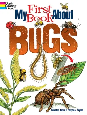 Mein erstes Buch über Käfer - My First Book about Bugs