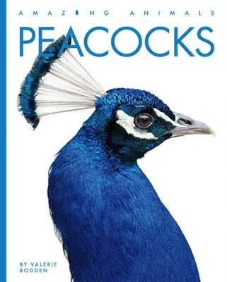 Pfaue - Peacocks