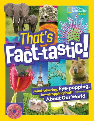 Das ist faktentastisch! Verblüffende, atemberaubende und atemberaubende Dinge über unsere Welt - That's Fact-Tastic!: Mind-Blowing, Eye-Popping, Jaw-Dropping Stuff about Our World