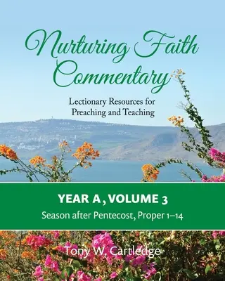 Nurturing Faith Commentary, Jahr A, Band 3: Lektionarisches Material für Predigt und Unterricht - Jahreszeit nach Pfingsten: Proprium 1-14 - Nurturing Faith Commentary, Year A, Volume 3: Lectionary Resources for Preaching and Teaching-Season after Pentecost: Proper 1-14