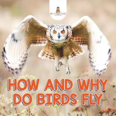 Wie und warum fliegen Vögel? - How and Why Do Birds Fly