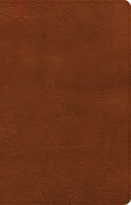 CSB Dünndruckbibel, Gebrannte Siena Lederimitat - CSB Thinline Bible, Burnt Sienna Leathertouch