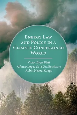 Energierecht und -politik in einer Welt unter Klimabedingungen - Energy Law and Policy in a Climate-Constrained World