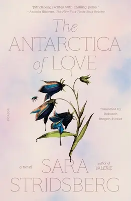 Die Antarktis der Liebe - The Antarctica of Love