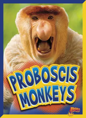 Proboscis-Affen - Proboscis Monkeys