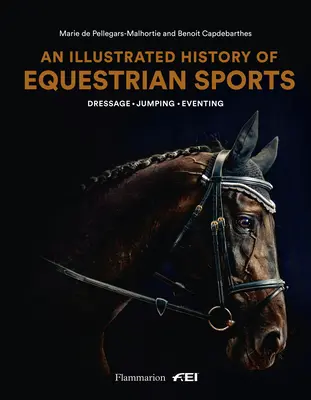 Eine illustrierte Geschichte des Pferdesports: Dressur, Springen, Vielseitigkeit - An Illustrated History of Equestrian Sports: Dressage, Jumping, Eventing