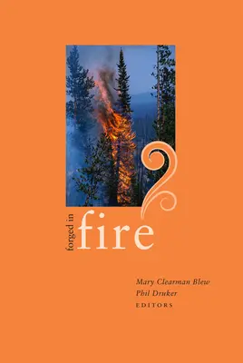 Geschmiedet im Feuer: Essays von Schriftstellern aus Idaho - Forged in Fire: Essays by Idaho Writers