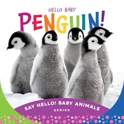 Hallo Baby-Pinguin! - Hello Baby Penguin!