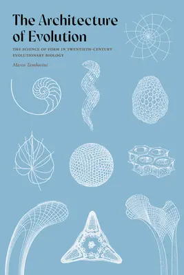 Die Architektur der Evolution: Die Wissenschaft der Form in der Evolutionsbiologie des zwanzigsten Jahrhunderts - The Architecture of Evolution: The Science of Form in Twentieth-Century Evolutionary Biology