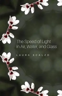 Die Geschwindigkeit des Lichts in Luft, Wasser und Glas - The Speed of Light in Air, Water, and Glass