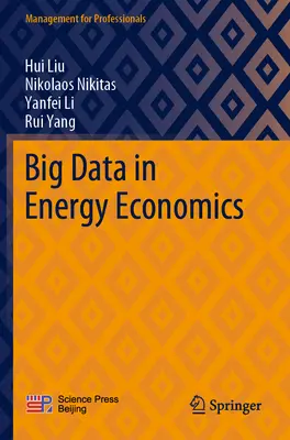 Big Data in der Energiewirtschaft - Big Data in Energy Economics