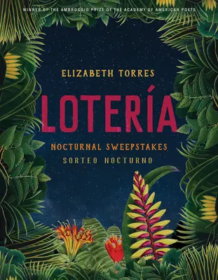 Lotera: Nächtliche Gewinnspiele - Lotera: Nocturnal Sweepstakes