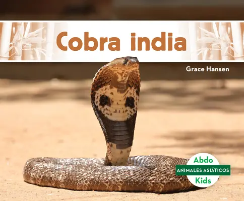 Kobra Indien - Cobra India