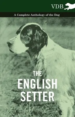 Der English Setter - Eine vollständige Anthologie des Hundes - The English Setter - A Complete Anthology of the Dog