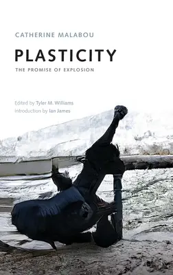 Plastizität: Die Verheißung der Explosion - Plasticity: The Promise of Explosion