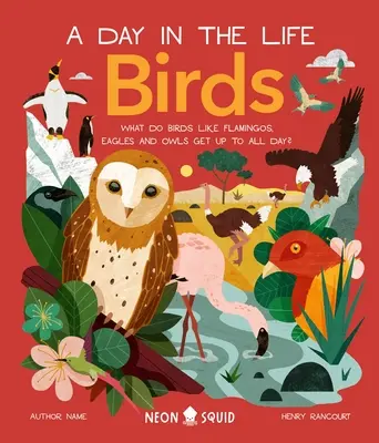 Vögel (ein Tag im Leben): Was machen Flamingos, Eulen und Pinguine den ganzen Tag? - Birds (a Day in the Life): What Do Flamingos, Owls, and Penguins Get Up to All Day?