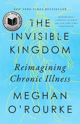 Das unsichtbare Königreich: Eine neue Sicht auf chronische Krankheiten - The Invisible Kingdom: Reimagining Chronic Illness