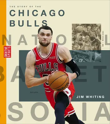 Die Geschichte der Chicago Bulls - The Story of the Chicago Bulls