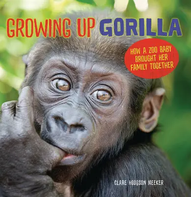 Gorillas wachsen auf: Wie ein Zoobaby die Familie zusammenbrachte - Growing Up Gorilla: How a Zoo Baby Brought Her Family Together