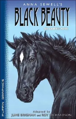 Puffin Grafiken: Schwarze Schönheit - Puffin Graphics: Black Beauty