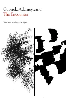 Die Begegnungen - The Encounter