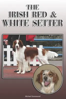Der irische rot-weiße Setter: Ein komplettes und umfassendes Handbuch für Besitzer von: Kauf, Besitz, Gesundheit, Pflege, Training, Gehorsam, Verstehen und - The Irish Red and White Setter: A Complete and Comprehensive Owners Guide To: Buying, Owning, Health, Grooming, Training, Obedience, Understanding and