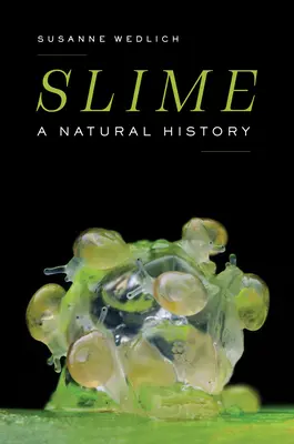 Schleim: Eine Naturgeschichte - Slime: A Natural History