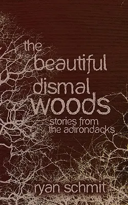 The Beautiful Dismal Woods: Kurzgeschichten aus den Adirondacks - The Beautiful Dismal Woods: Short Stories from the Adirondacks