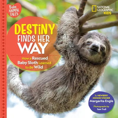 Das Schicksal findet seinen Weg: Wie ein gerettetes Faultierbaby lernte, wild zu sein - Destiny Finds Her Way: How a Rescued Baby Sloth Learned to Be Wild