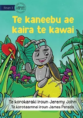 Das Insekt, das den Weg wies - Te kaneebu ae kaira te kawai (Te Kiribati) - The Insect that Led the Way - Te kaneebu ae kaira te kawai (Te Kiribati)