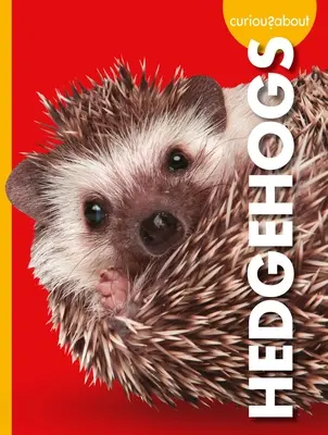 Neugierig auf Igel - Curious about Hedgehogs