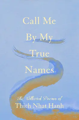 Nennt mich bei meinen wahren Namen: Die gesammelten Gedichte - Call Me by My True Names: The Collected Poems