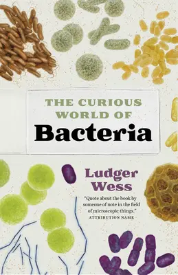 Die kuriose Welt der Bakterien - The Curious World of Bacteria