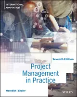 Projektmanagement in der Praxis - Project Management in Practice