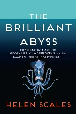 The Brilliant Abyss: Die Erforschung des majestätischen, verborgenen Lebens in der Tiefsee und die drohende Gefahr, die sie bedroht - The Brilliant Abyss: Exploring the Majestic Hidden Life of the Deep Ocean, and the Looming Threat That Imperils It