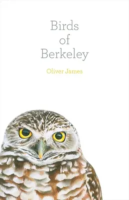 Die Vögel von Berkeley - Birds of Berkeley