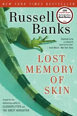Verlorene Erinnerung an die Haut - Lost Memory of Skin
