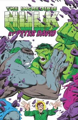 Unglaublicher Hulk von Peter David Omnibus Bd. 2 - Incredible Hulk by Peter David Omnibus Vol. 2