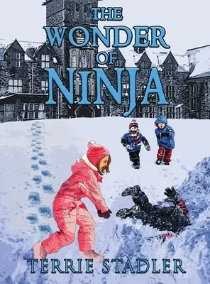 Das Wunder des Ninja - The Wonder of Ninja