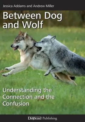 Zwischen Hund und Wolf: Die Verbindung und die Verwirrung verstehen - Between Dog and Wolf: Understanding the Connection and the Confusion