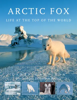 Arktischer Fuchs: Das Leben an der Spitze der Welt - Arctic Fox: Life at the Top of the World