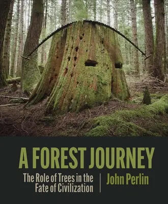 Eine Reise durch den Wald: Die Rolle der Bäume für das Schicksal der Zivilisation - A Forest Journey: The Role of Trees in the Fate of Civilization