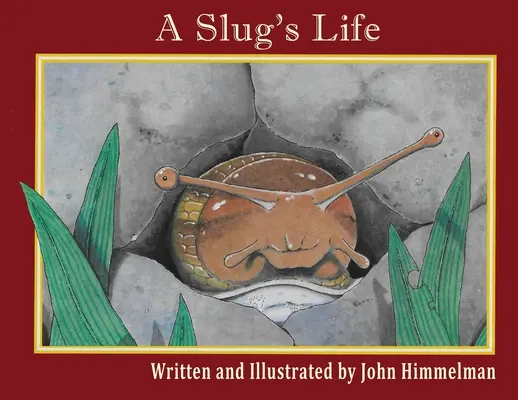 Das Leben einer Schnecke - A Slug's Life