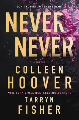 Niemals nie: Eine verworrene, ängstliche Romanze - Never Never: A Twisty, Angsty Romance