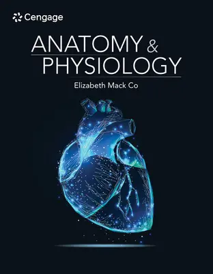 Anatomie und Physiologie - Anatomy & Physiology