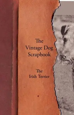 The Vintage Dog Scrapbook - Der Irish Terrier - The Vintage Dog Scrapbook - The Irish Terrier