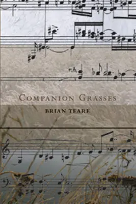 Gefährten Gräser - Companion Grasses